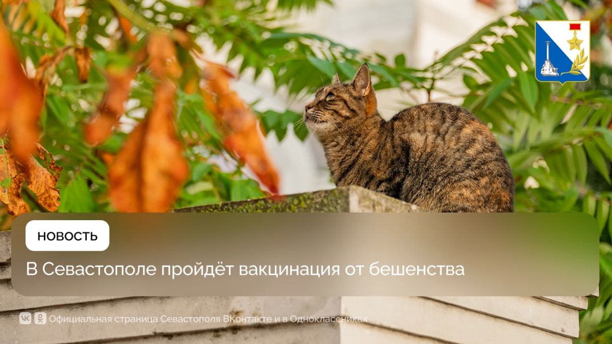 Госветслужба вакцинировала ещё более 100 домашних животных