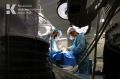 С 1 января 2027 года в России может измениться порядок работы хирургов
