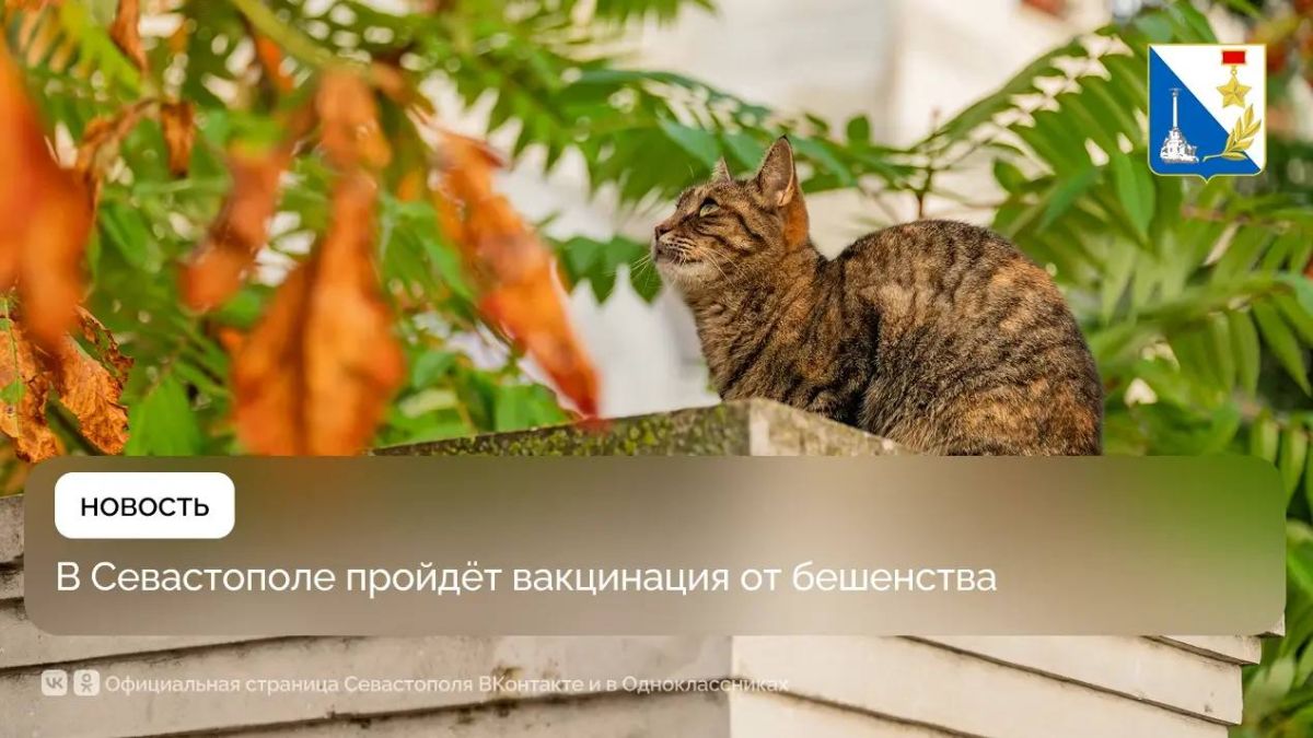 Госветслужба вакцинировала ещё более 100 домашних животных