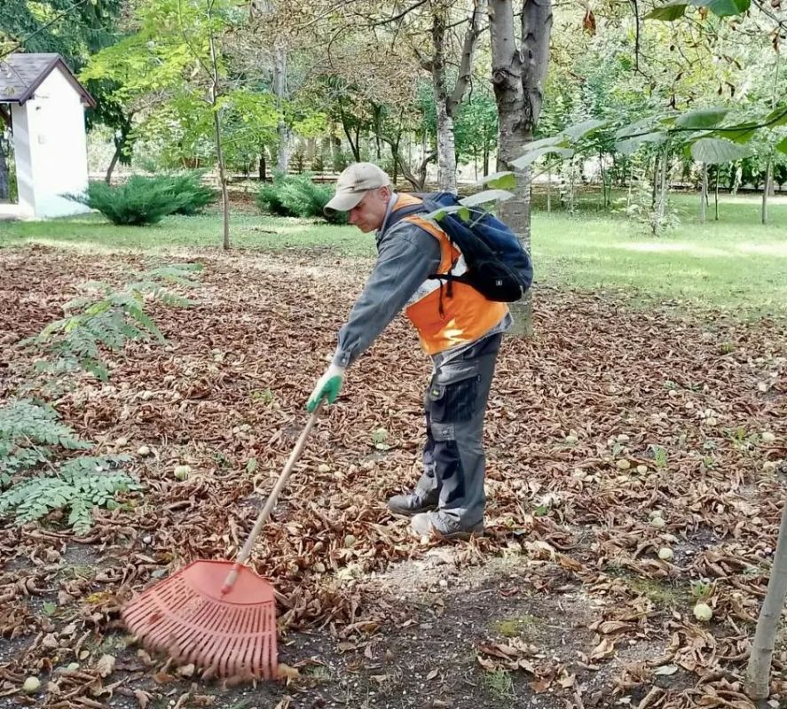Чистота в парках и скверах Симферополя: работа в штатном режиме Чистота в парках и скверах Симферополя: работа в штатном режиме