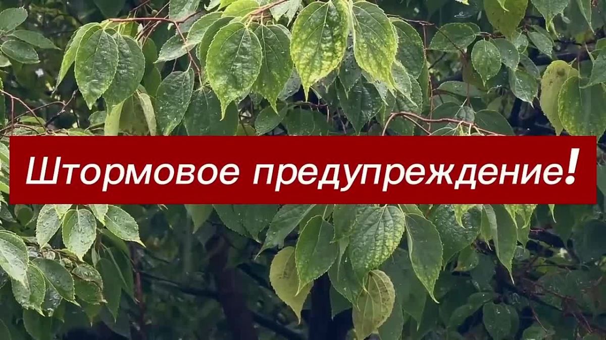 В Крыму объявлено штормовое предупреждение
