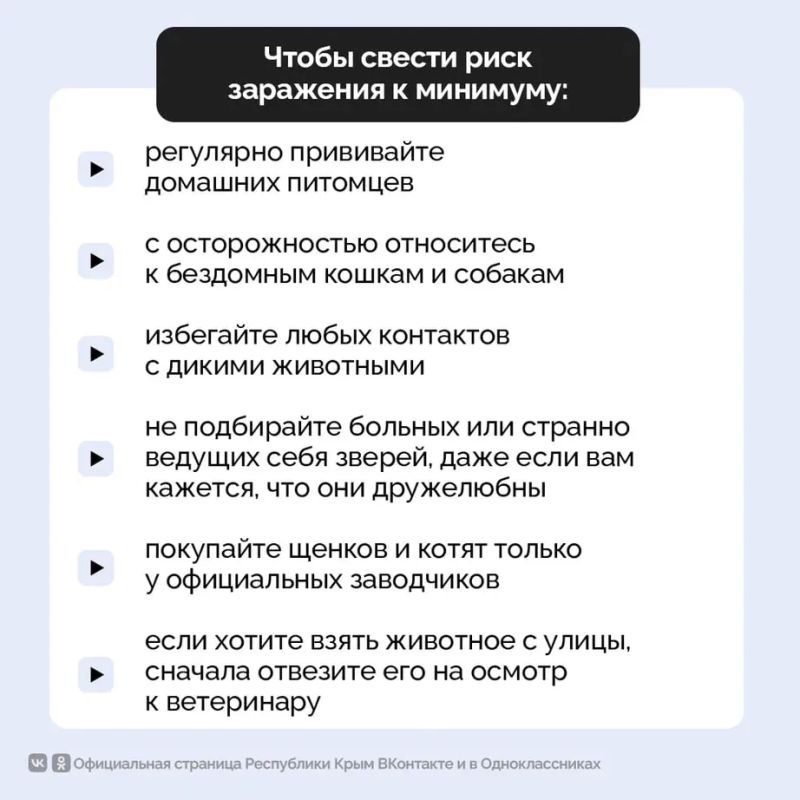 Ежегодно около 6 500 крымчан обращаются за медицинской помощью из-за укусов животных Ежегодно около 6 500 крымчан обращаются за медицинской помощью из-за укусов животных