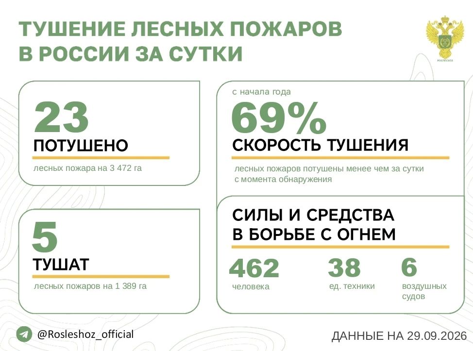 За прошедшие сутки в 7 регионах России потушили 23 лесных пожара
