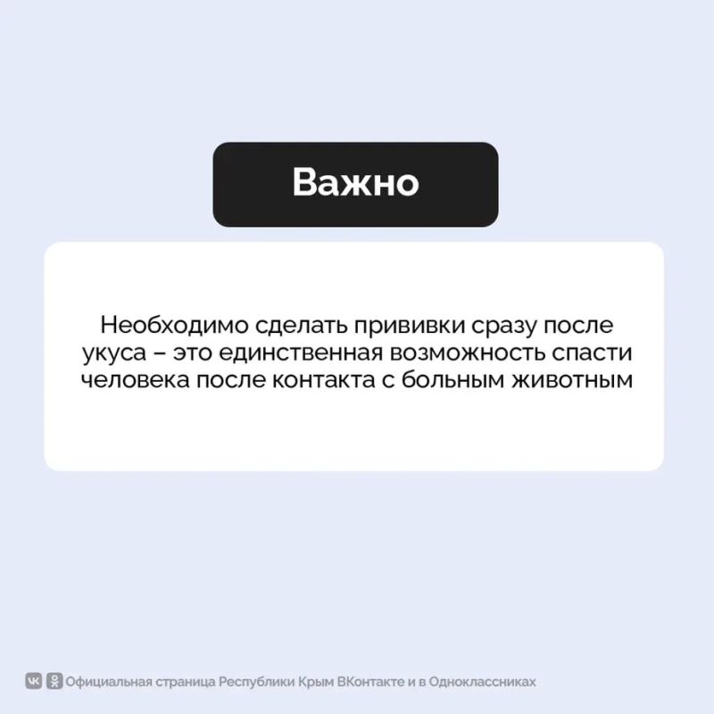 Ежегодно около 6 500 крымчан обращаются за медицинской помощью из-за укусов животных Ежегодно около 6 500 крымчан обращаются за медицинской помощью из-за укусов животных