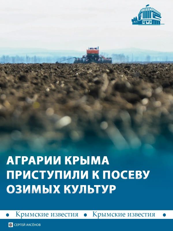 Больше 500 тыс гектаров засеют зерновыми в Крыму