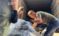 ������� ��������: ������ ���� ������. 30 �������� ����������� ������ ���� � ������� �������� � ������ ���������� ��������� ���, ���, ����������� � ���������� ��������