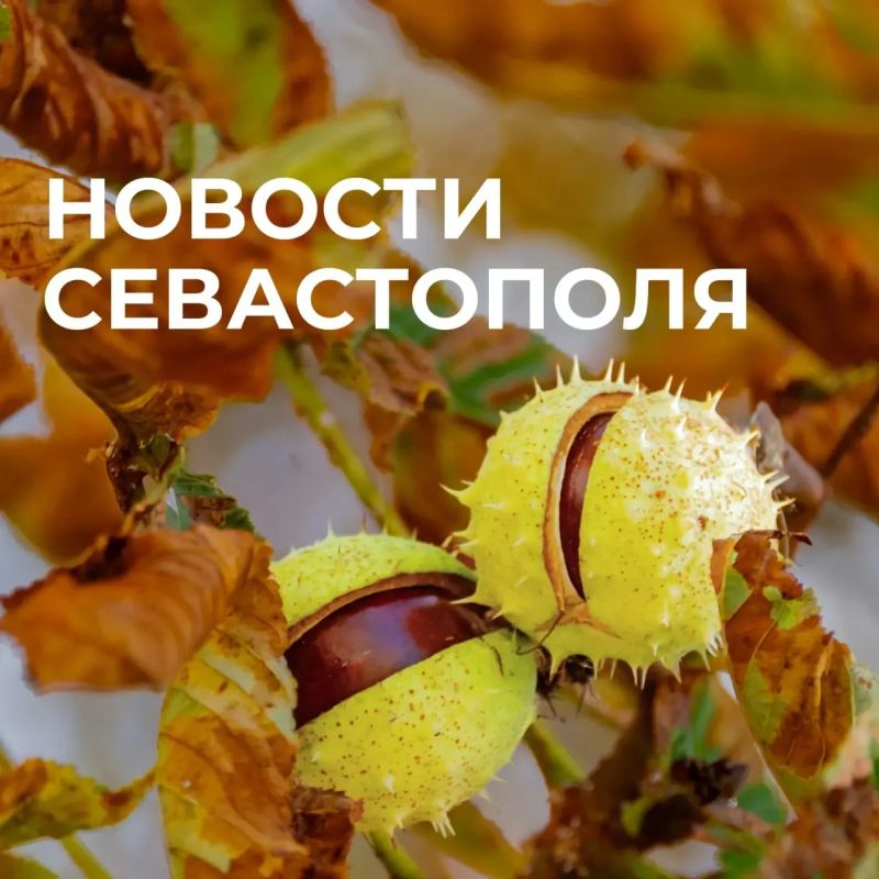 Михаил Развожаев: Коротко о главном:. Обновление сетей