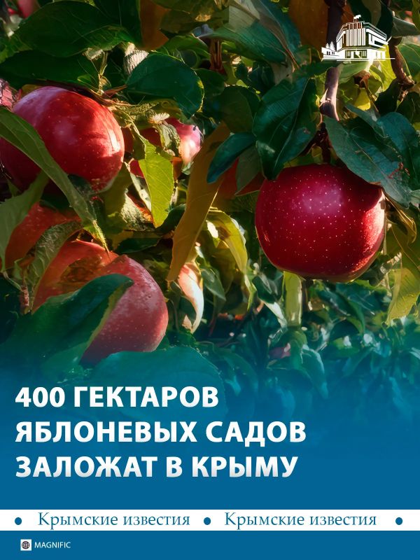 400 млн рублей получили аграрии Крыма на закладку новых садов
