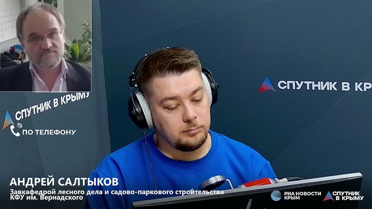 Созданию и развитию лесополос уделяют очень мало внимания, что приводит к их деградации