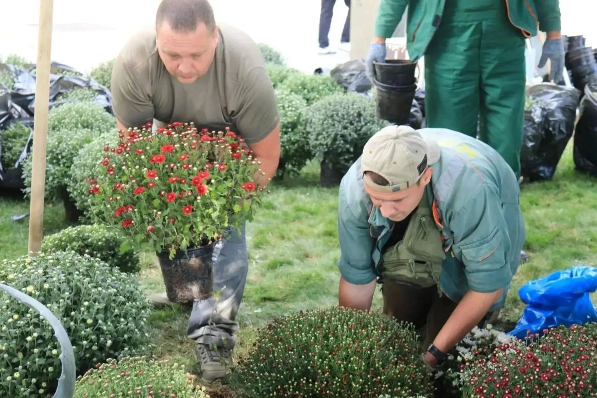 В Ялте начали осеннее цветочное оформление В Ялте начали осеннее цветочное оформление