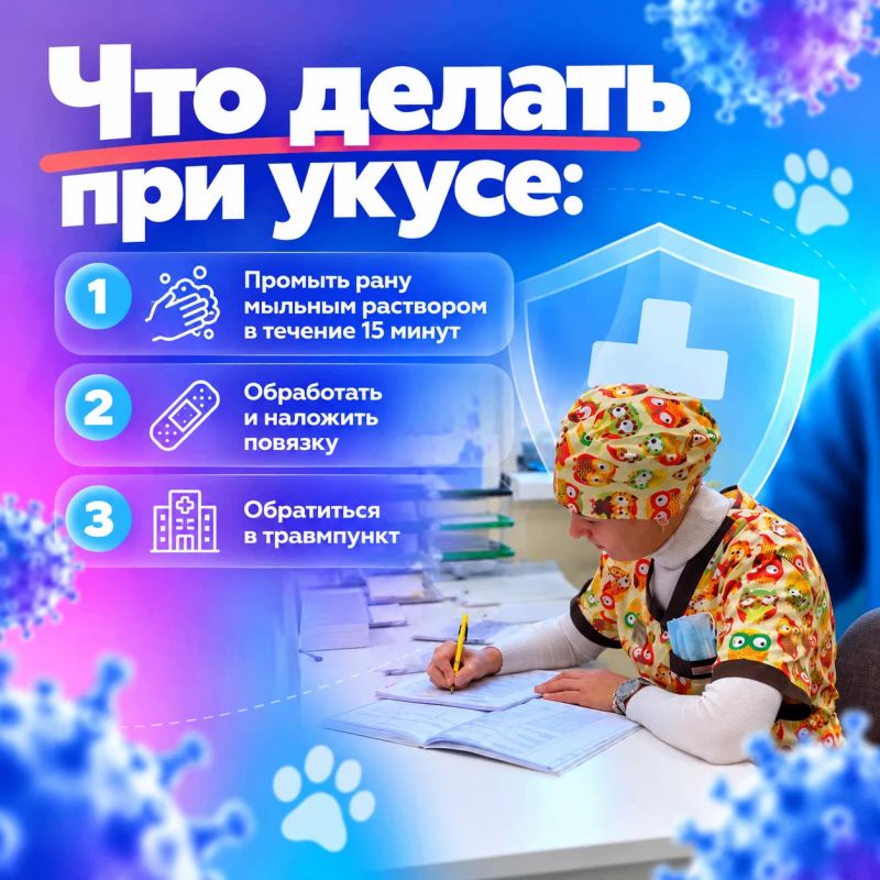 Бешенство: что важно знать Бешенство: что важно знать