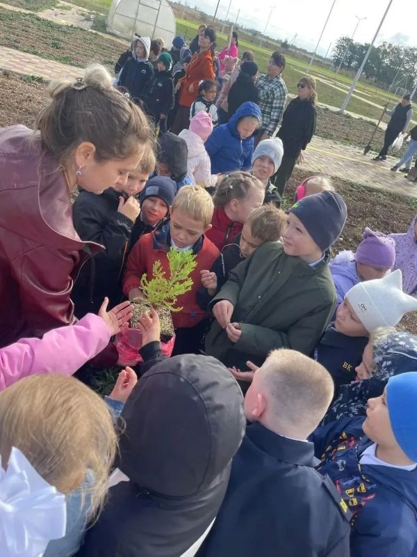 В МБОУ «Укромновская школа» прошла масштабная экологическая акция