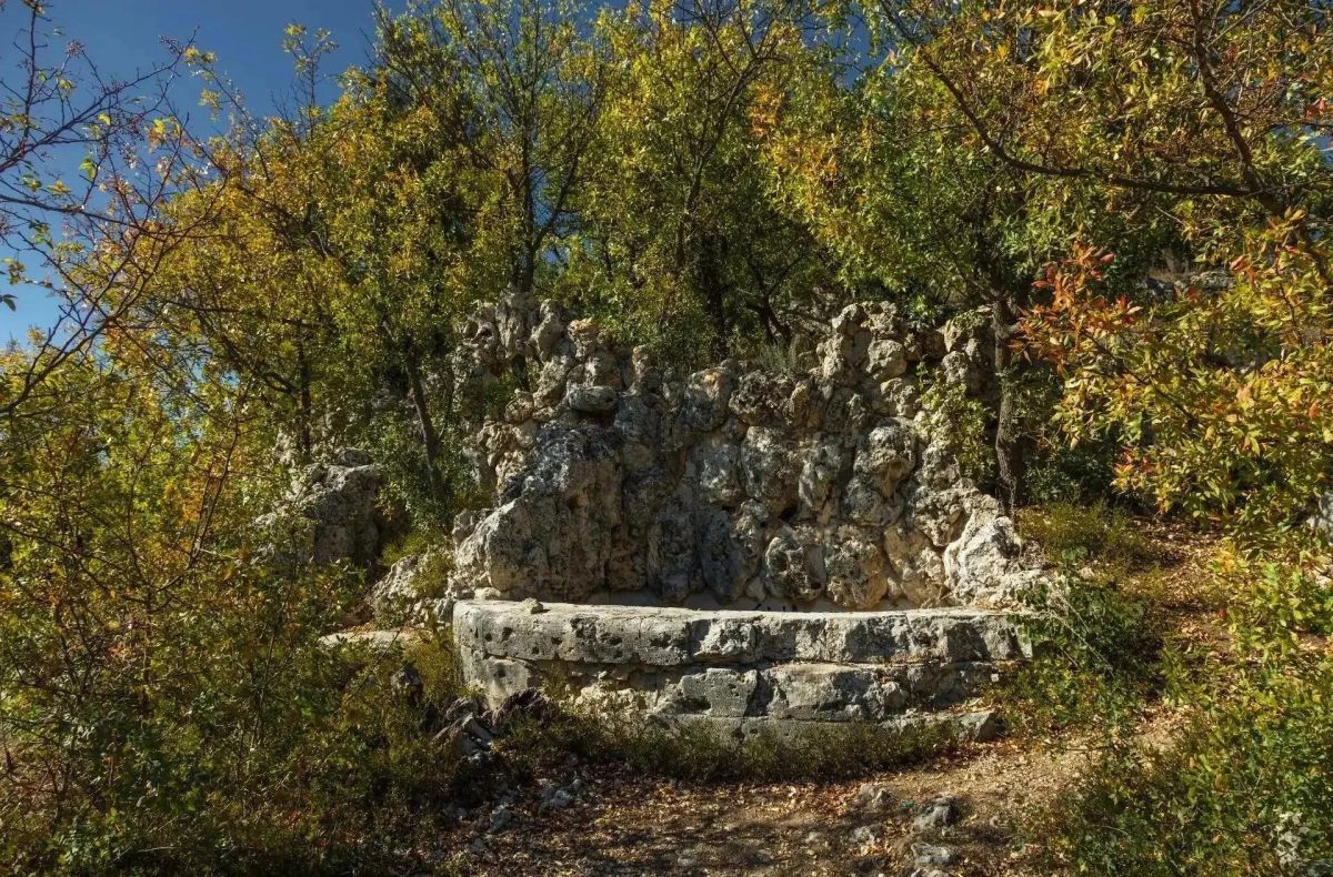 На «Максимовой даче» проходит снос усохших деревьев и кустарников