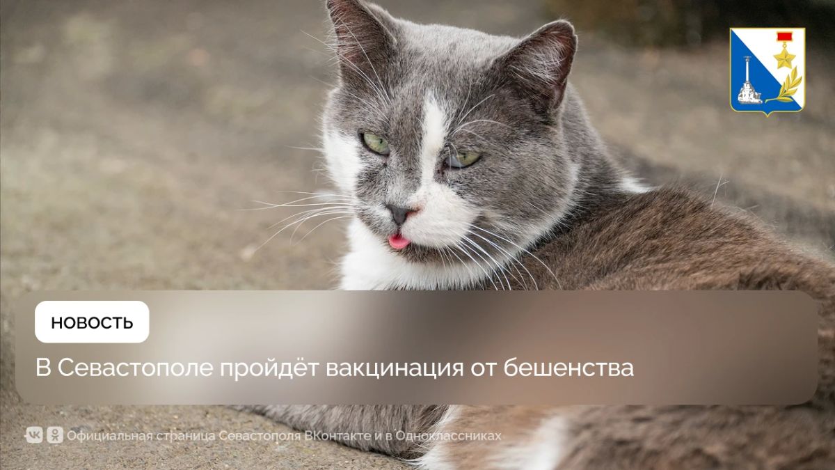 Госветслужба вакцинировала ещё более 70 домашних животных