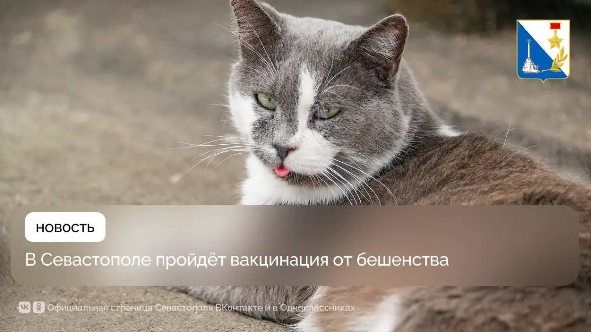 Госветслужба вакцинировала ещё более 70 домашних животных