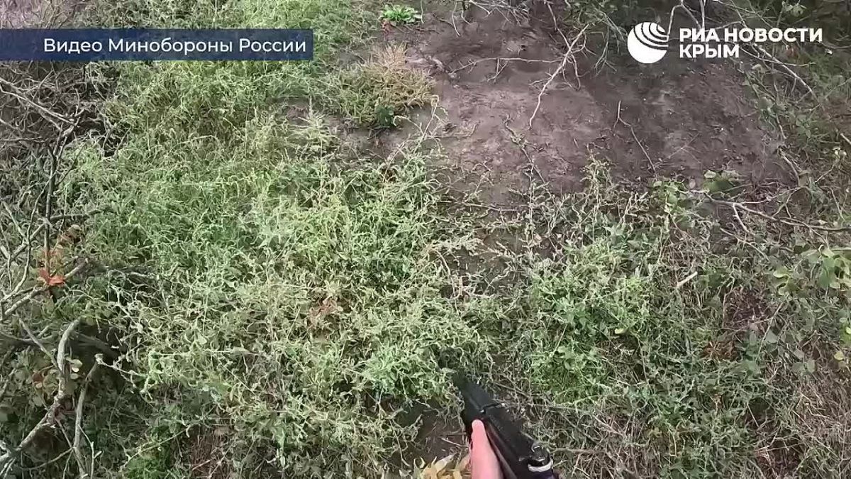 Штурмовики зачистили важный опорный пункт ВСУ в Запорожской области