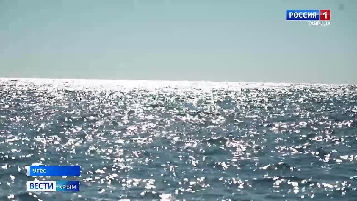 Около ста артефактов достали со дна Чёрного моря крымские археологи за три месяца