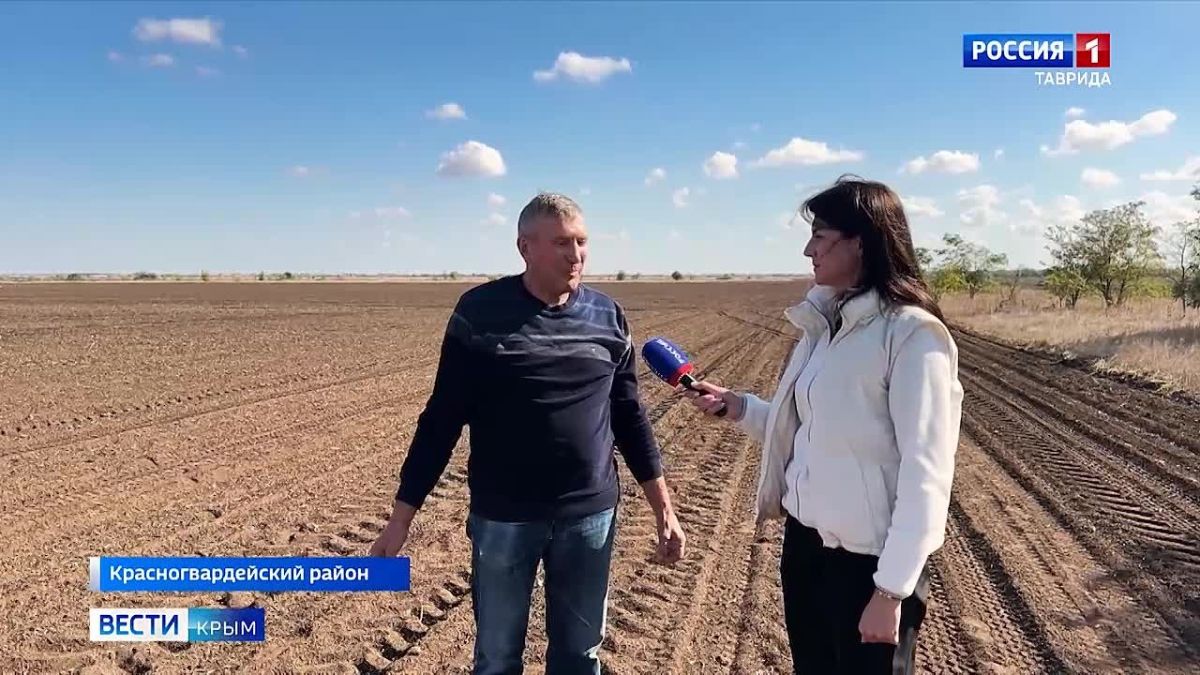 В Крыму стартовала посевная кампания озимых культур