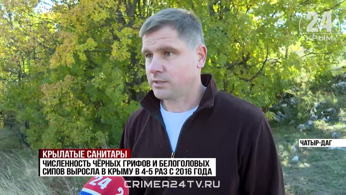 Самую масштабную подкормку краснокнижных птиц в этом году провели на ЧатырДаге