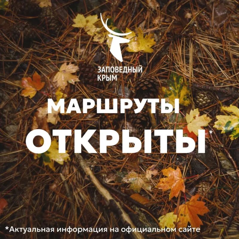 В Ялтинском заповеднике сняли запрет на посещение экотроп и туристических маршрутов