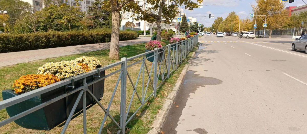 ФОТОФАКТ: Евпаторию украшают цветами ФОТОФАКТ: Евпаторию украшают цветами