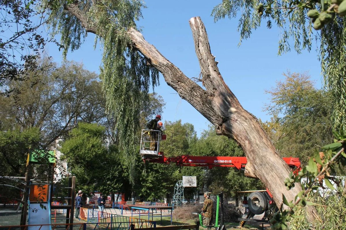 Сотрудники Службы городского хозяйства ликвидировали большое аварийное дерево на ул. Большевистской, 5. Работы провели по заявке, поступившей в Единую диспетчерскую службу Сотрудники Службы городского хозяйства ликвидировали большое аварийное дерево на ул. Большевистской, 5. Работы провели по заявке, поступившей в Единую диспетчерскую службу