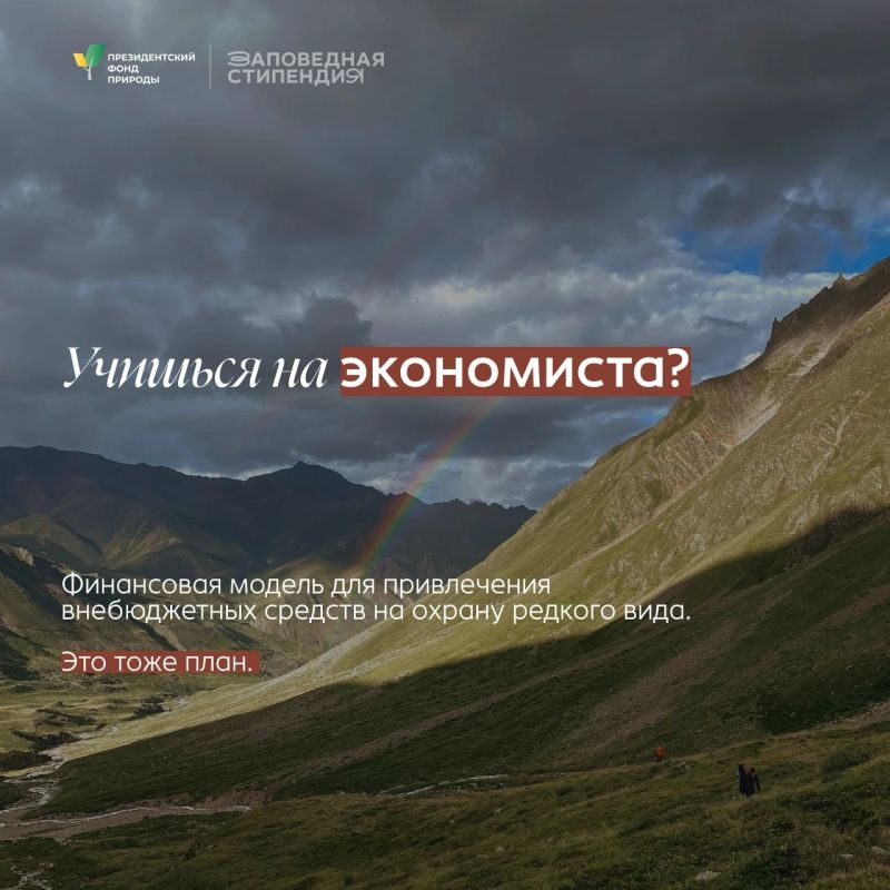 Студенты могут получить стипендию Президентского фонда природы Студенты могут получить стипендию Президентского фонда природы