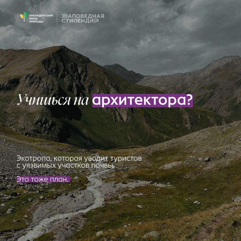Студенты могут получить стипендию Президентского фонда природы Студенты могут получить стипендию Президентского фонда природы
