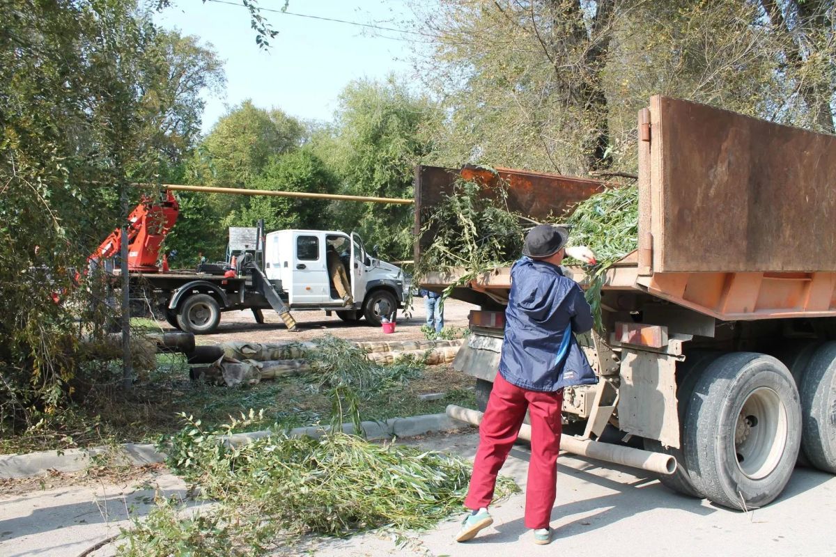 Сотрудники Службы городского хозяйства ликвидировали большое аварийное дерево на ул. Большевистской, 5. Работы провели по заявке, поступившей в Единую диспетчерскую службу Сотрудники Службы городского хозяйства ликвидировали большое аварийное дерево на ул. Большевистской, 5. Работы провели по заявке, поступившей в Единую диспетчерскую службу