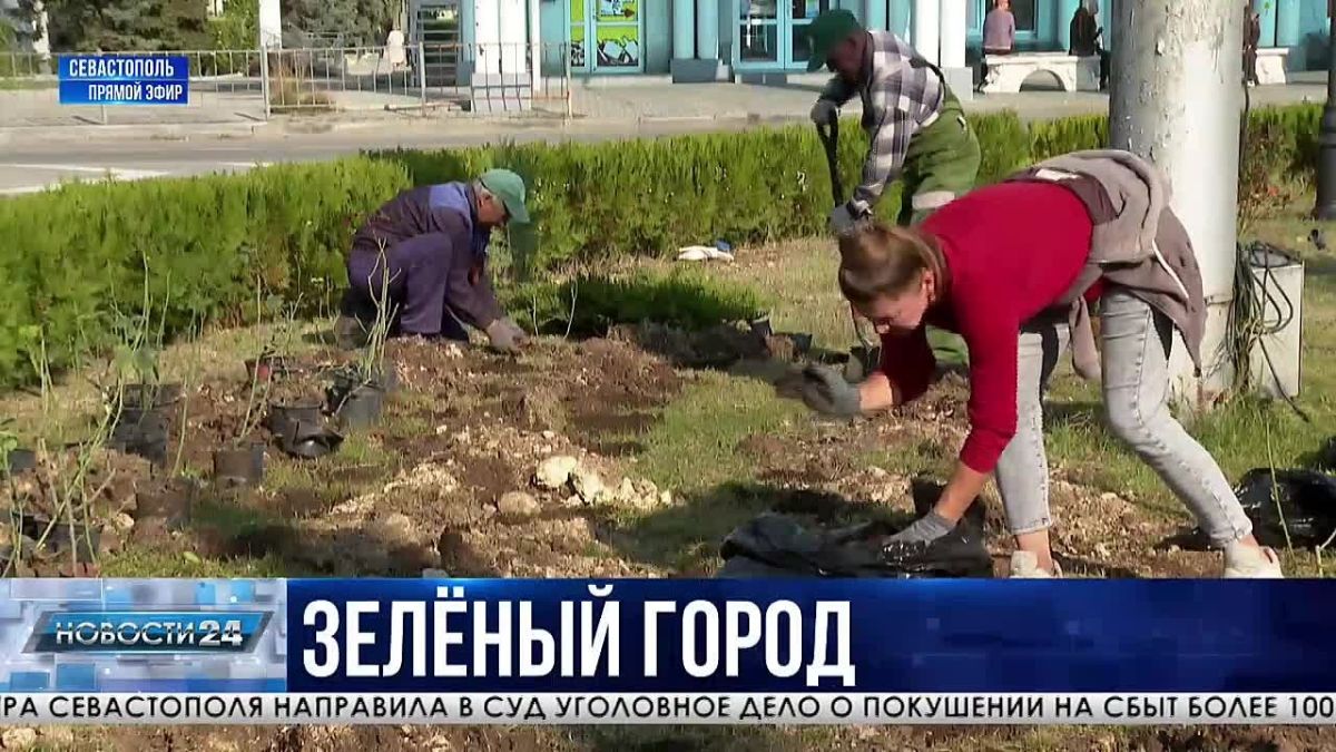 От семян до клумб: осенняя высадка растений стартовала в Севастополе