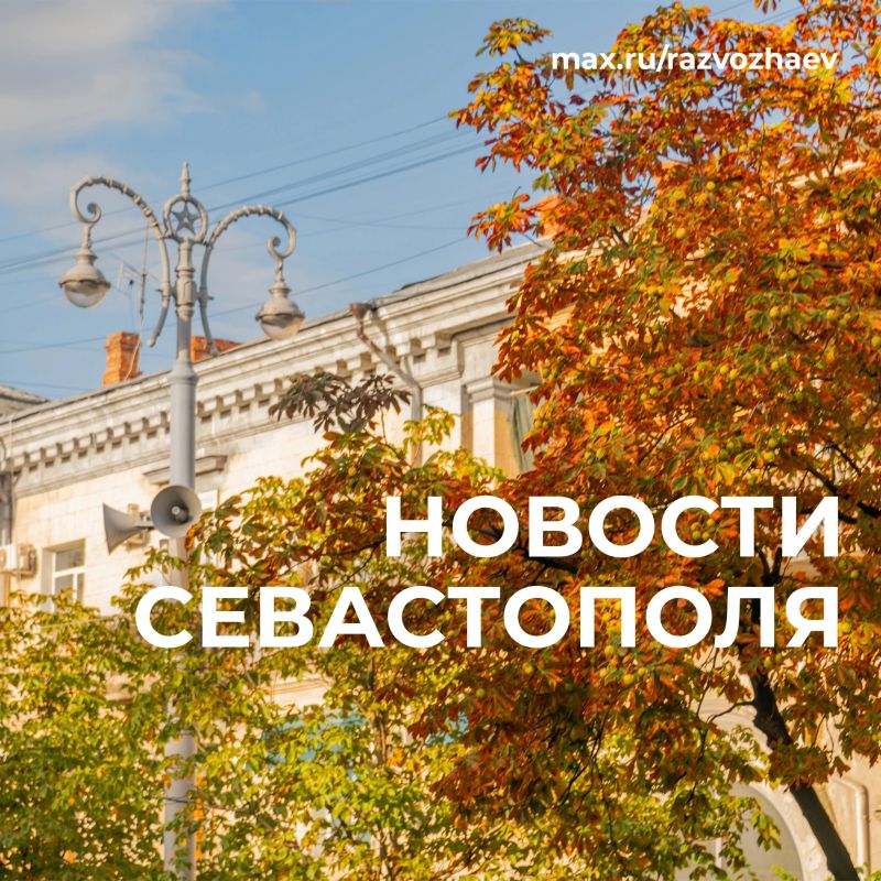 Михаил Развожаев: Коротко о главном:. Социальный контракт