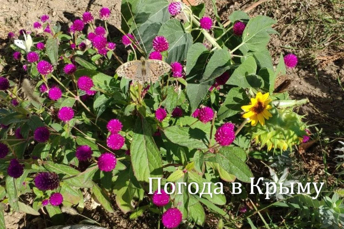 Доброе утро!. . Рассказываем, какой будет погода на полуострове 7 октября