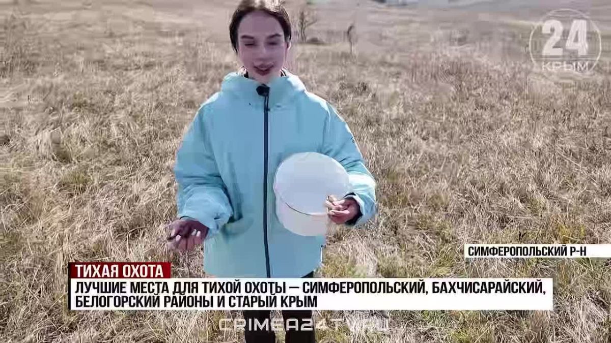 С лукошком — по грибы: в каких районах Крыма собирают самый богатый урожай?