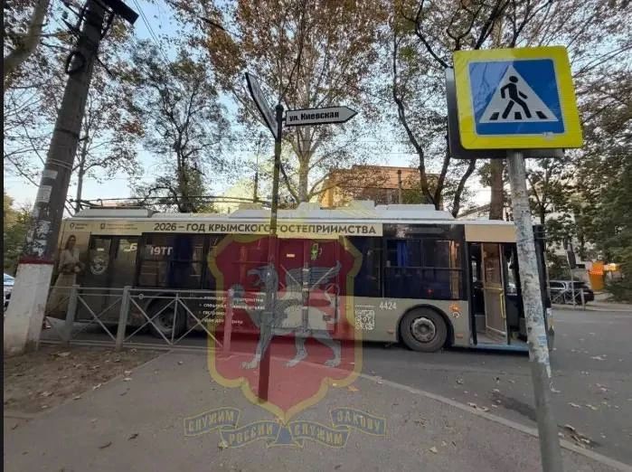 Троллейбус сбил мальчика, который внезапно выбежал на дорогу в Симферополе Троллейбус сбил мальчика, который внезапно выбежал на дорогу в Симферополе