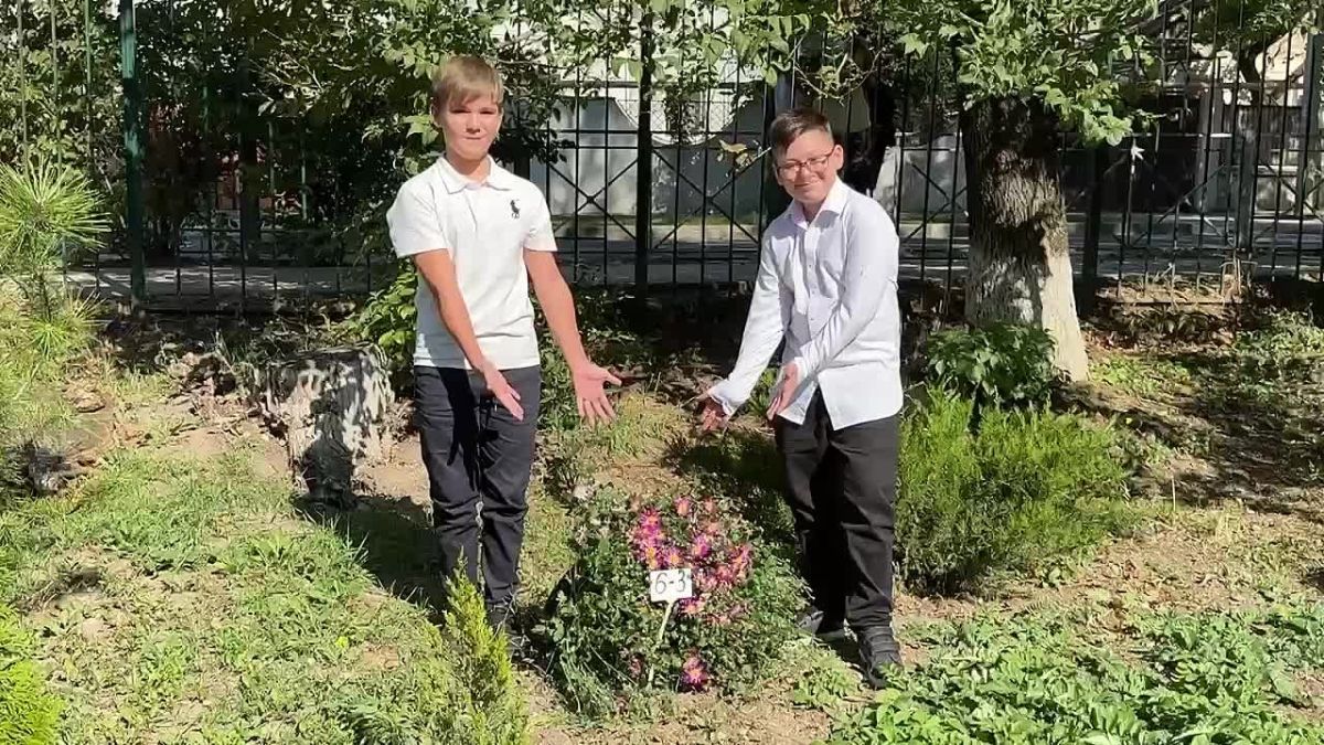 В симферопольской школе № 31 прошел праздник красоты и благодарности — «Фестиваль хризантем»!