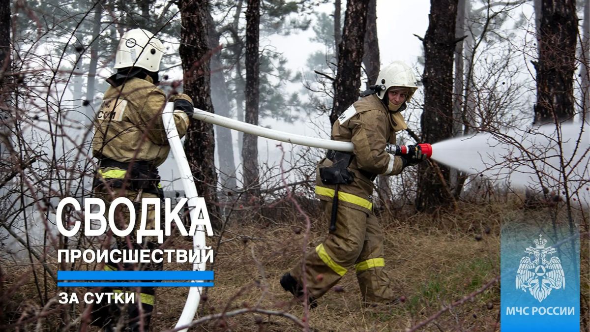 #ЧТОВЧЕРАПРОИЗОШЛО. За минувшие сутки пожарно-спасательные подразделения ГУ МЧС России по Республике Крым реагировали на: 7 пожаров, из них: