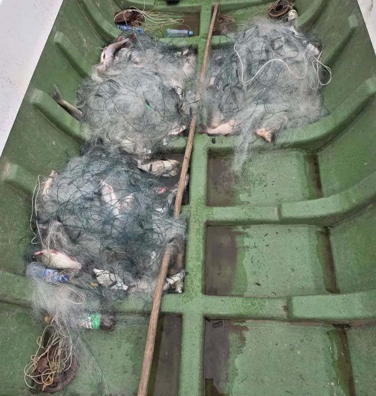 Сотрудниками Вологодской транспортной полиции пресечен факт незаконного вылова биоресурсов