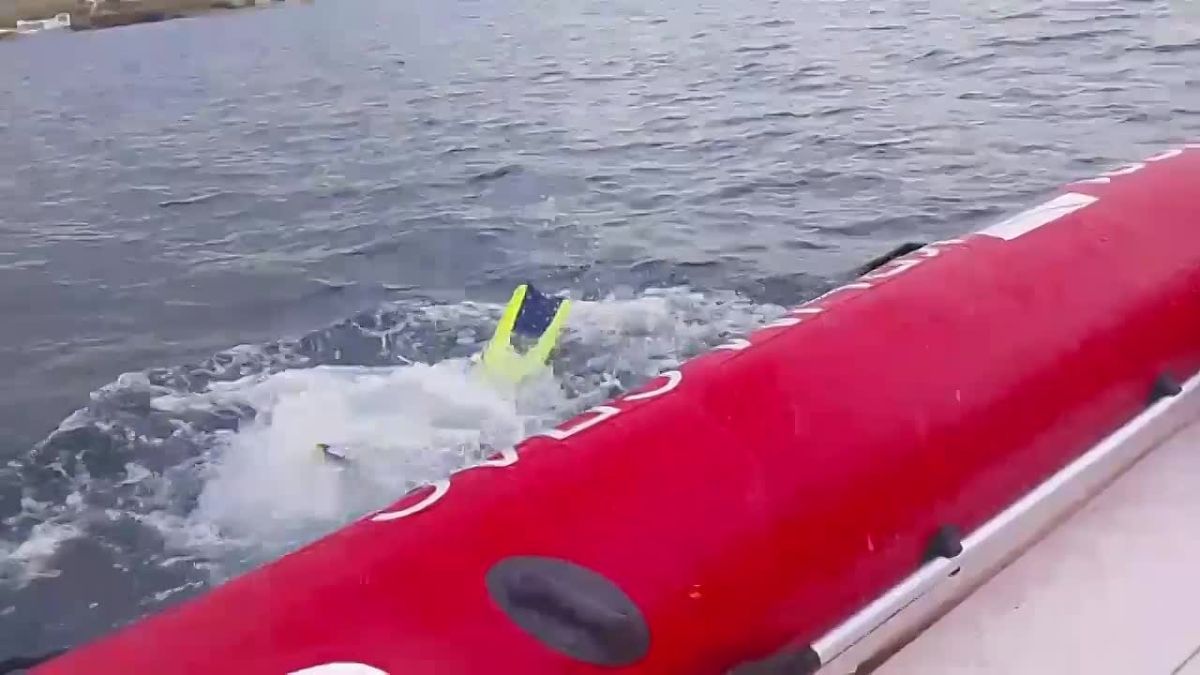 Тренировка под водой. Сотрудники Судакского аварийно-спасательного отряда ГКУ РК "КРЫМ-СПАС" совместно с членами КРО "РОССОЮЗСПАС" провели тренировочное занятие по водолазным спускам в районе бухты Капсель