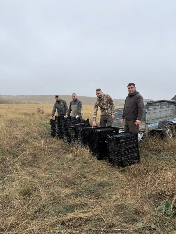 Ежегодное расселение фазана министр экологии и природных ресурсов Республики Крым Павел Чаговец провёл в Симферопольском районе Ежегодное расселение фазана министр экологии и природных ресурсов Республики Крым Павел Чаговец провёл в Симферопольском районе