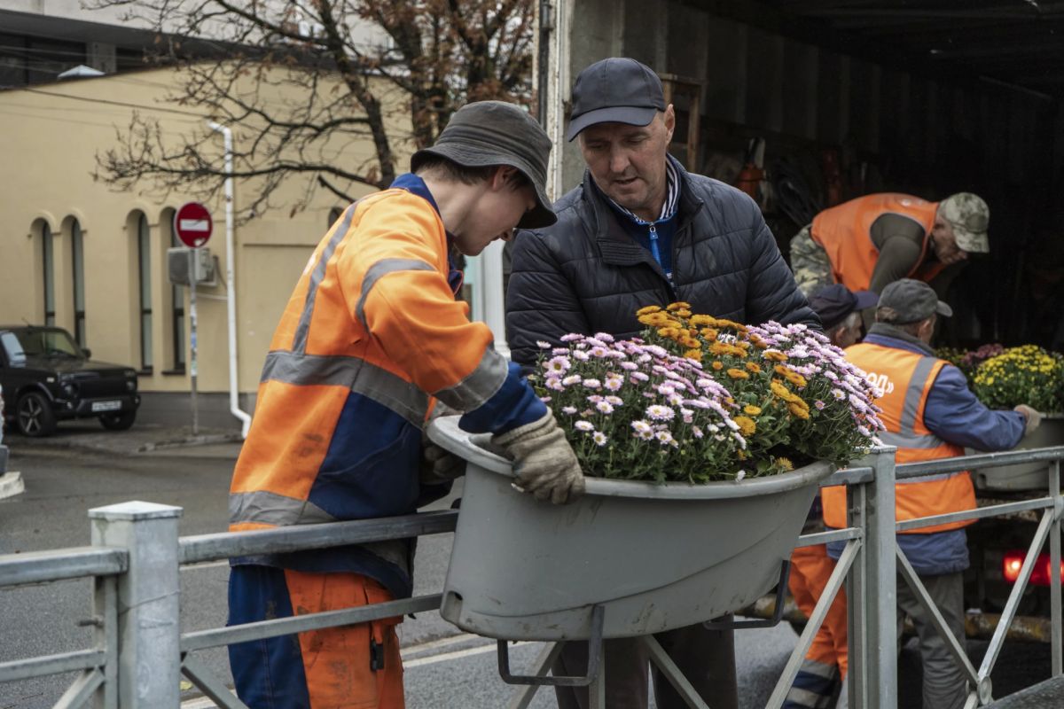 Бал хризантем на улицах Симферополя! Бал хризантем на улицах Симферополя!