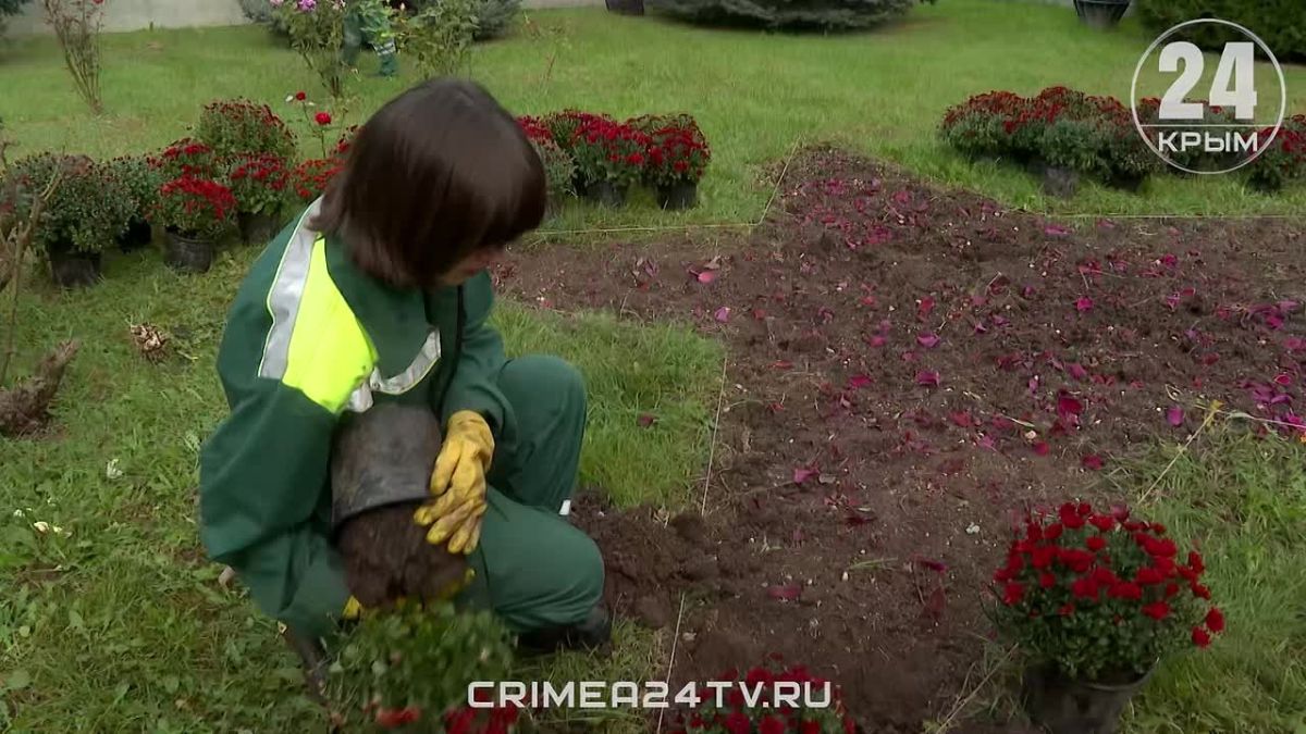 Где найти самые яркие цветочные локации в Симферополе?