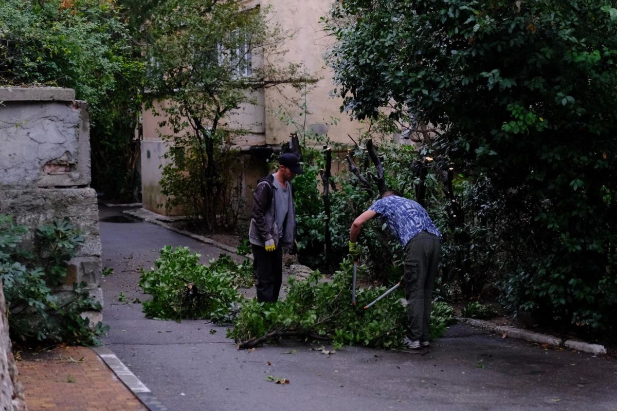 В муниципалитете активизировалась традиционная масштабная работа по санитарной обрезке деревьев, удалению сухостоя и приведению в порядок зеленых насаждений В муниципалитете активизировалась традиционная масштабная работа по санитарной обрезке деревьев, удалению сухостоя и приведению в порядок зеленых насаждений