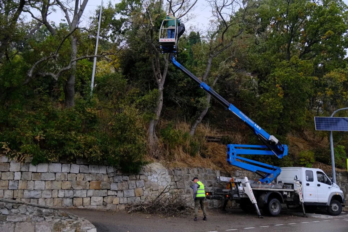 В муниципалитете активизировалась традиционная масштабная работа по санитарной обрезке деревьев, удалению сухостоя и приведению в порядок зеленых насаждений В муниципалитете активизировалась традиционная масштабная работа по санитарной обрезке деревьев, удалению сухостоя и приведению в порядок зеленых насаждений