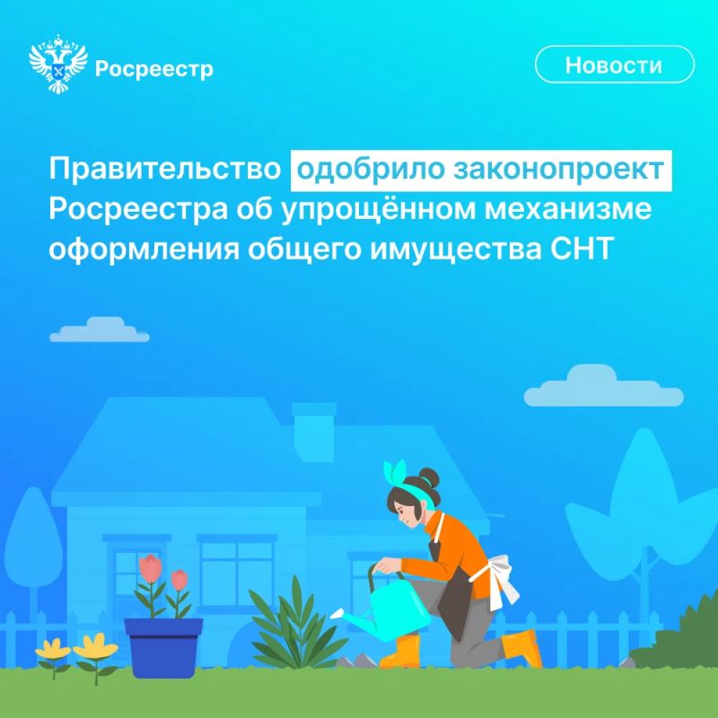 Правительство РФ одобрило законопроект Росреестра, разработанный в целях создания упрощенного механизма оформления прав на общее имущество СНТ