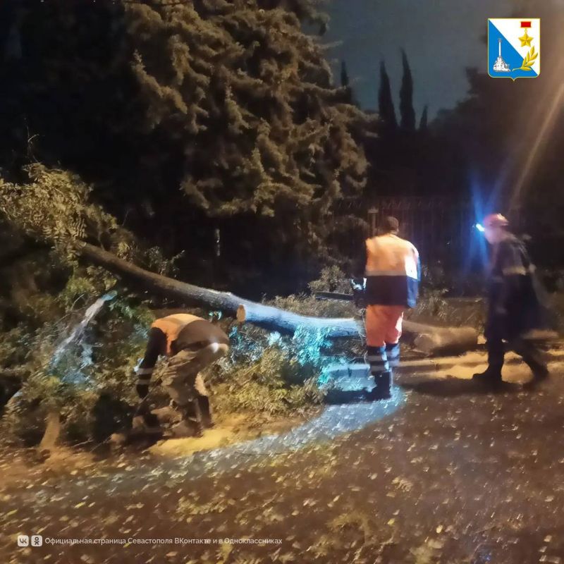 Севастодор начал ликвидировать последствия непогоды Севастодор начал ликвидировать последствия непогоды