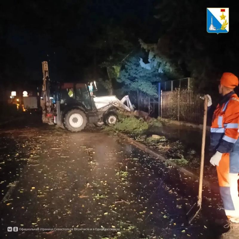 Дерево упало на проезжую часть на улице Очаковцев в Севастополе Дерево упало на проезжую часть на улице Очаковцев в Севастополе