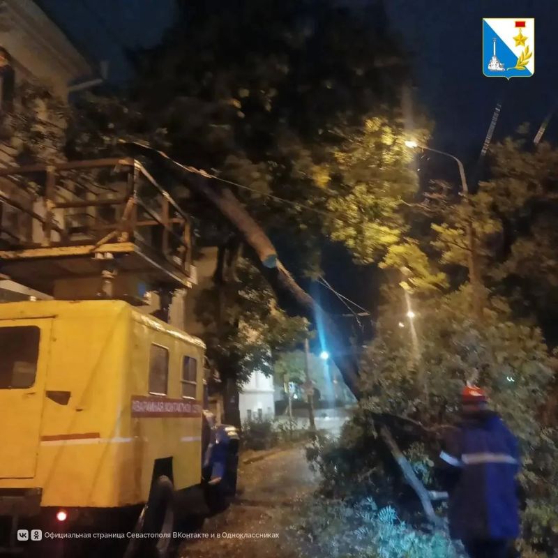 Дерево упало на проезжую часть на улице Очаковцев в Севастополе Дерево упало на проезжую часть на улице Очаковцев в Севастополе