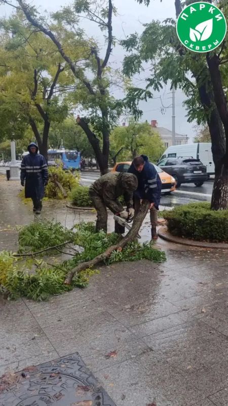 «Парки и скверы» устраняют последствия непогоды в Севастополе «Парки и скверы» устраняют последствия непогоды в Севастополе
