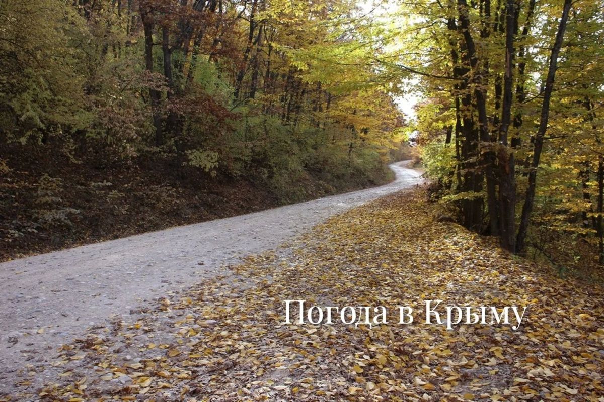 Доброе утро!. . Рассказываем, какой будет погода на полуострове 19 октября