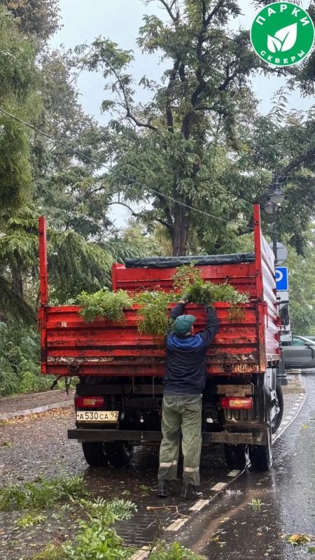 «Парки и скверы» устраняют последствия непогоды в Севастополе «Парки и скверы» устраняют последствия непогоды в Севастополе